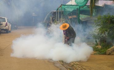 Controle de mosquitos transmissores de doenças