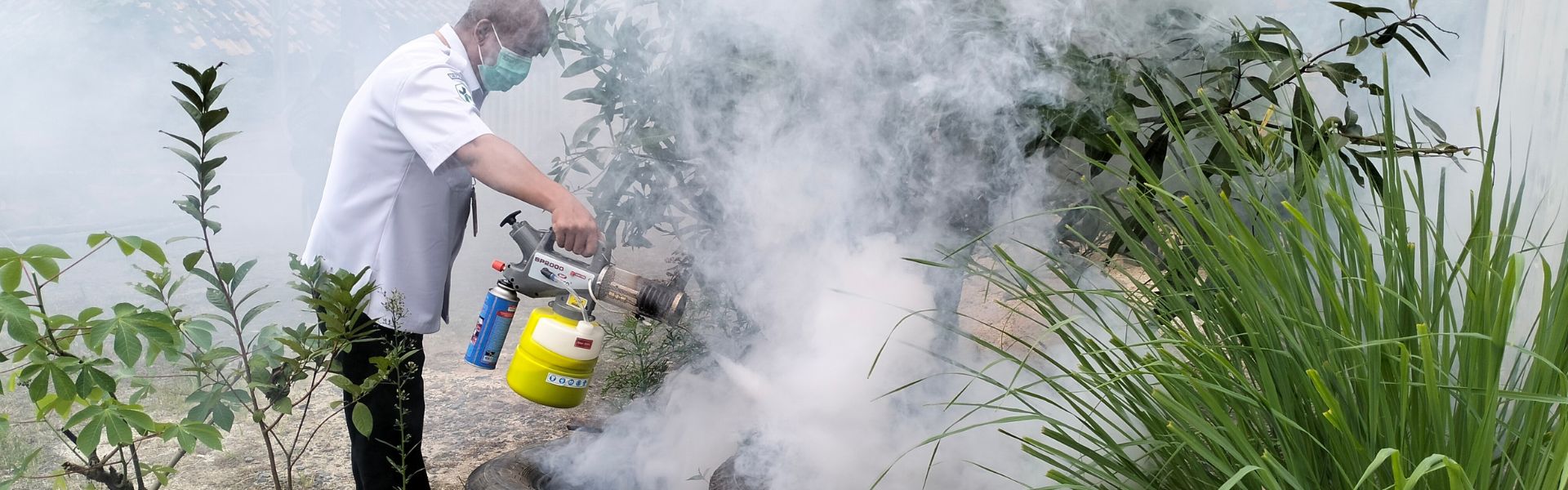 Truly Nolen - Controle de Mosquitos